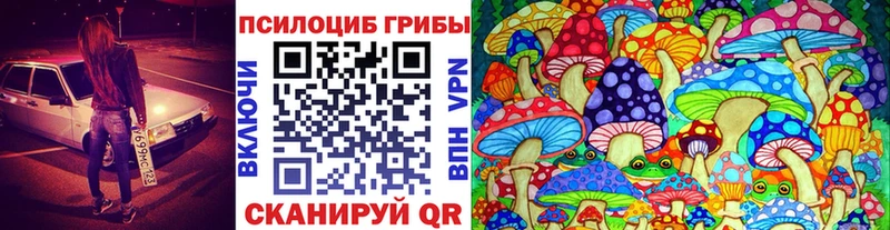 Купить  Рудня  Галлюциногенные грибы прущие грибы 